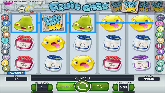Fruit Case 10